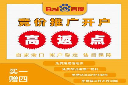 案例解析：SEM助力电商行业快速发展